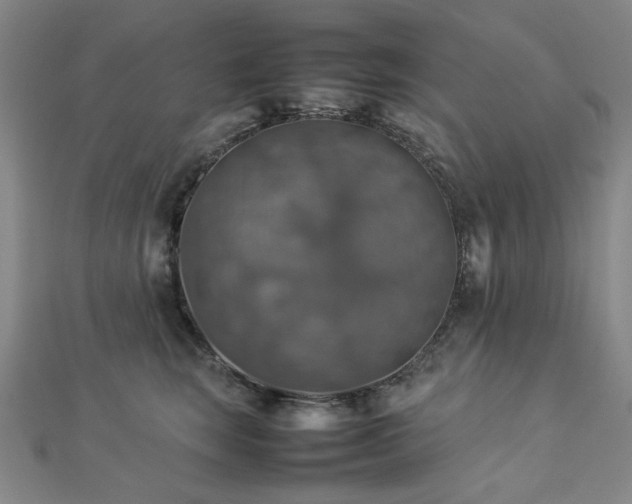 X0000112770663200908201509