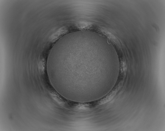 X0000112770664200908201509