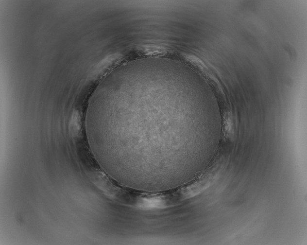 X0000112770667200908201509