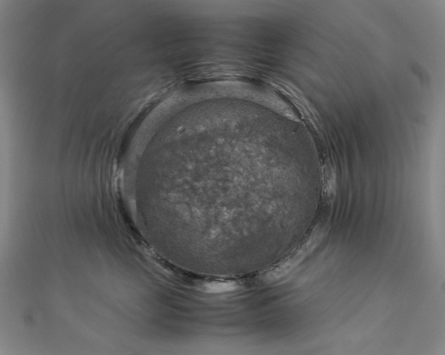 X0000112770669200908201509