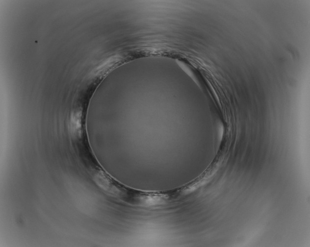 X0000112770670200908201509