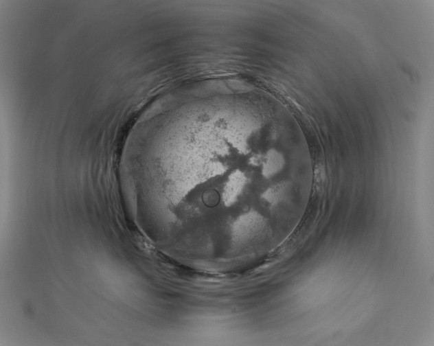 X0000112770671200908201509