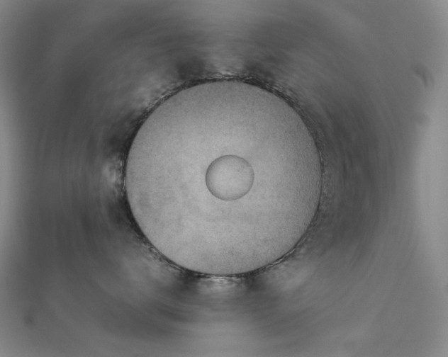 X0000112770672200908201509