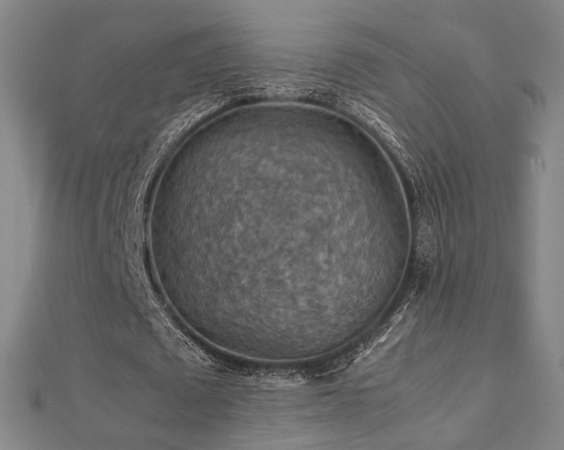 X0000112770673200908201508