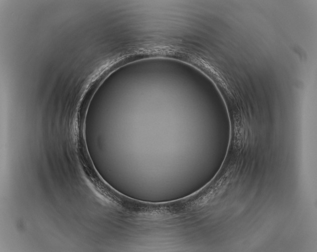 X0000112770674200908201508