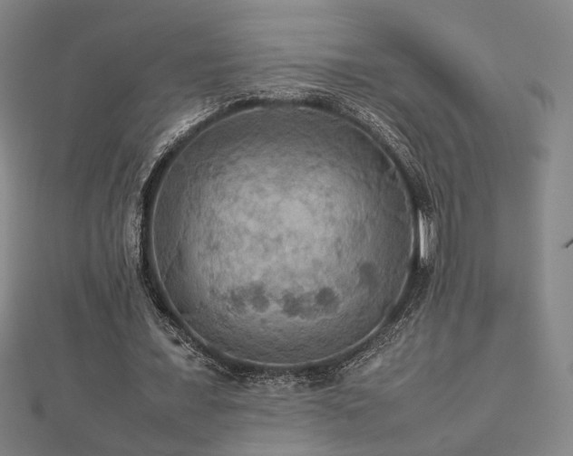 X0000112770675200908201508