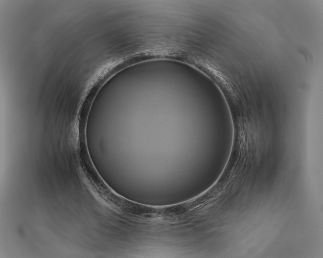 X0000112770678200908201508