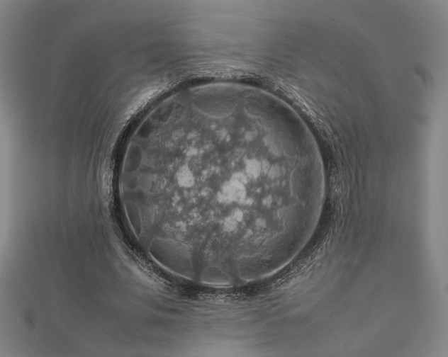 X0000112770679200908201508