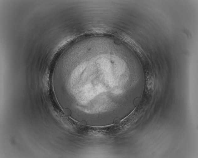 X0000112770680200908201508