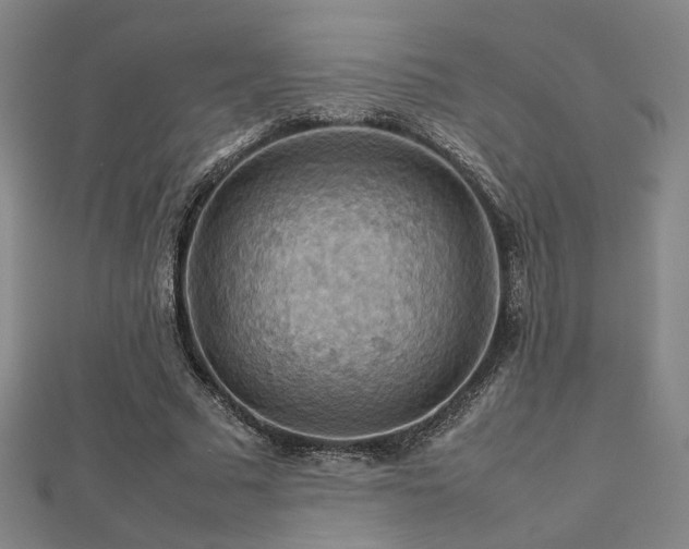 X0000112770681200908201508
