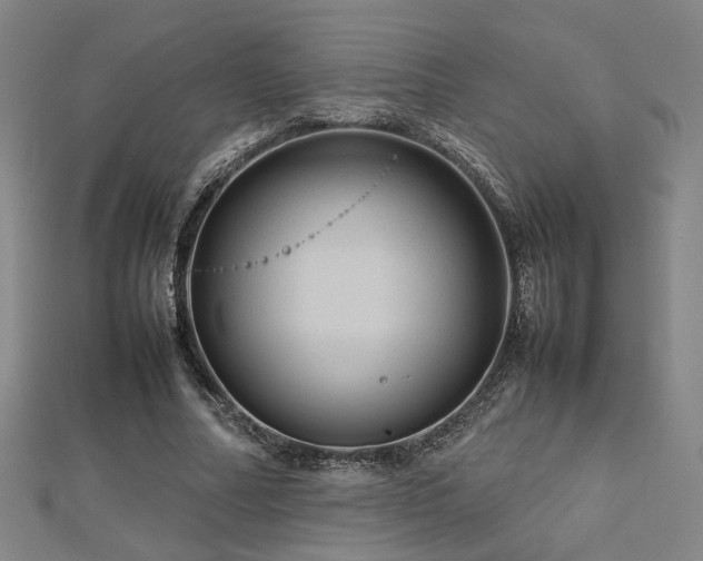 X0000112770682200908201508