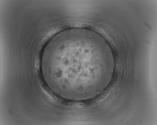X0000112770683200908201508