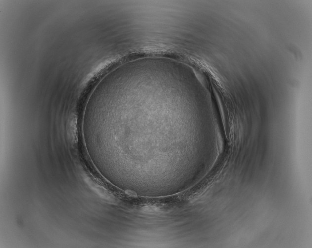 X0000112770684200908201508