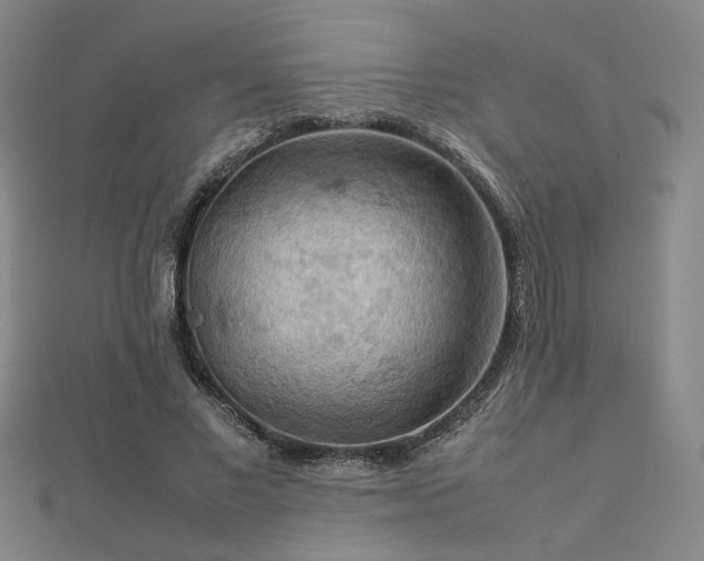 X0000112770685200908201508