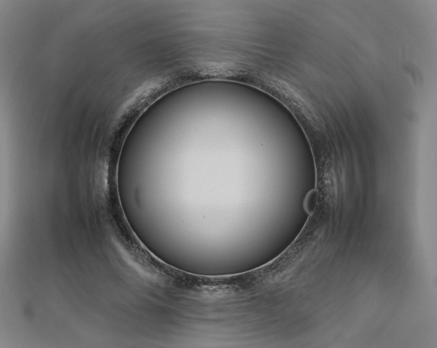 X0000112770686200908201508
