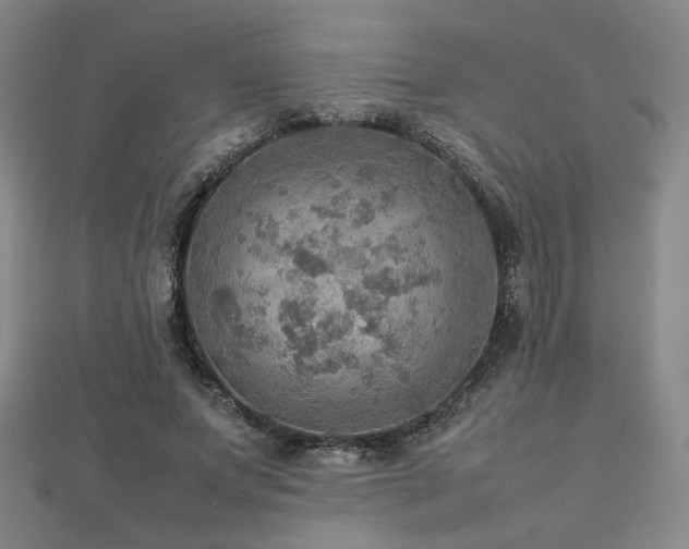 X0000112770687200908201508