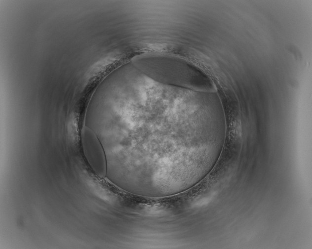 X0000112770688200908201508