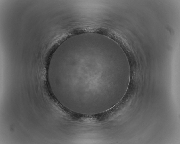 X0000112770689200908201508