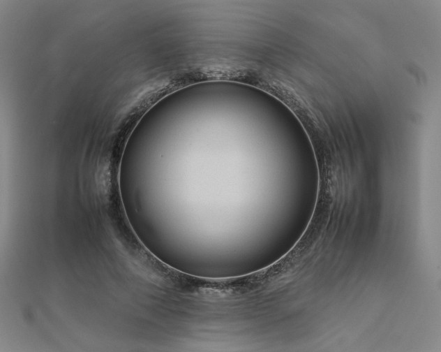 X0000112770690200908201508