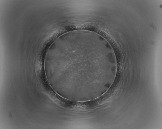 X0000112770691200908201508