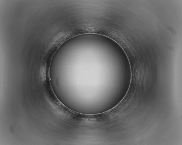 X0000112770694200908201508