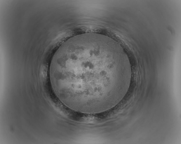 X0000112770695200908201508