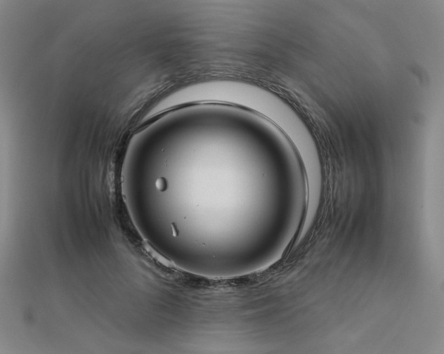 X0000112770696200908201508