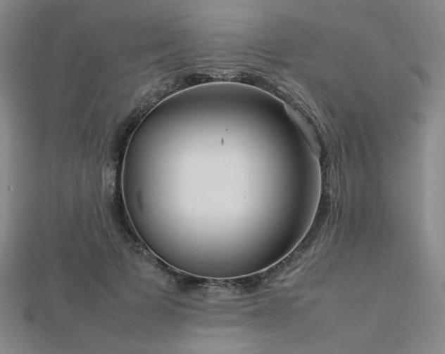 X0000112770697200908201508