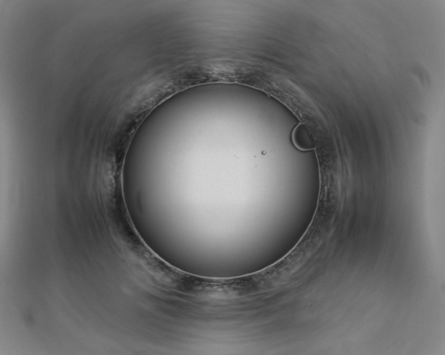 X0000112770702200908201507
