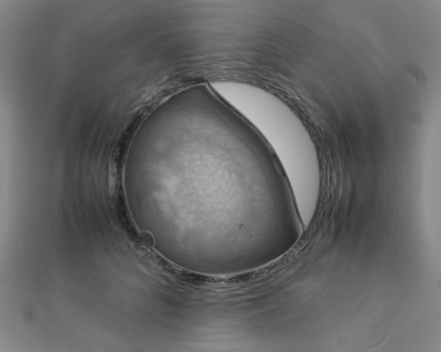 X0000112770704200908201507