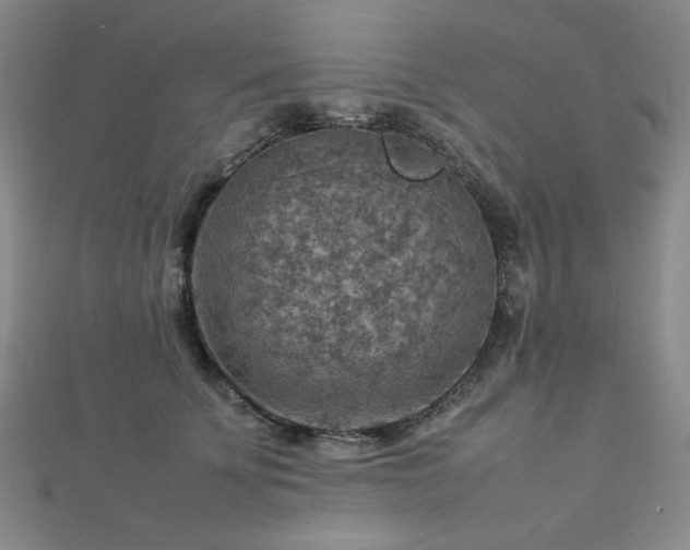 X0000112770707200908201507