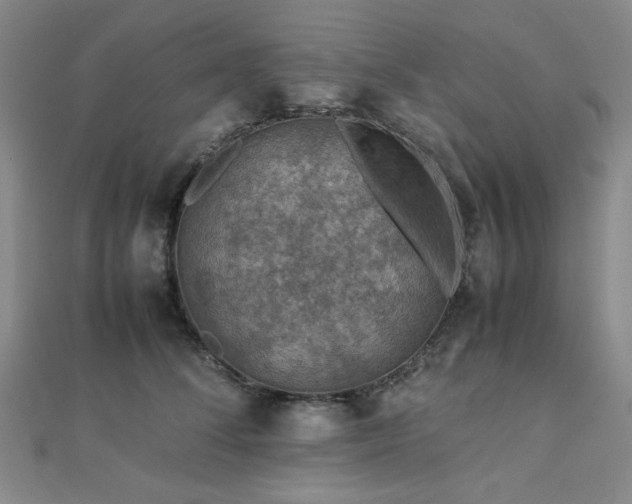 X0000112770708200908201507