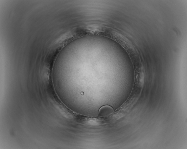 X0000112770710200908201507