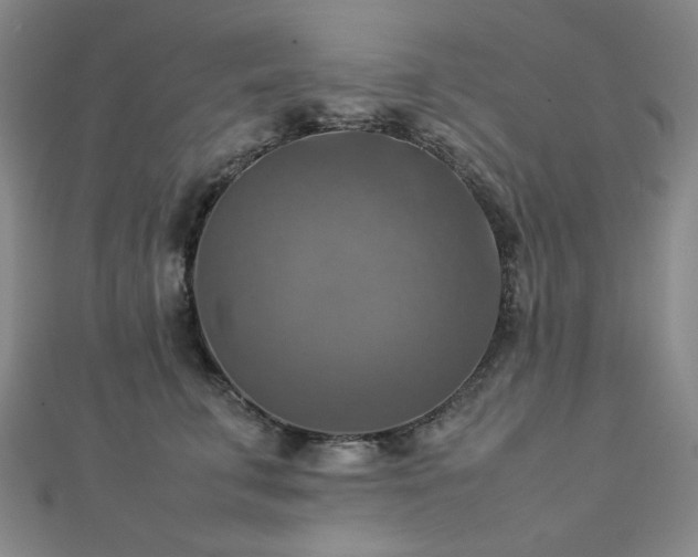 X0000112770711200908201507