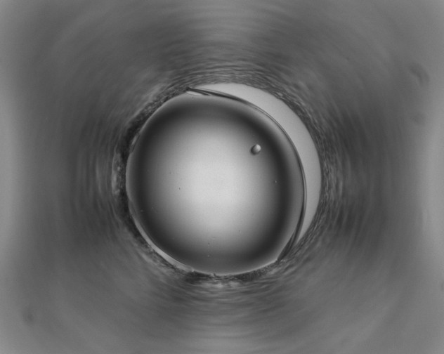 X0000112770712200908201507