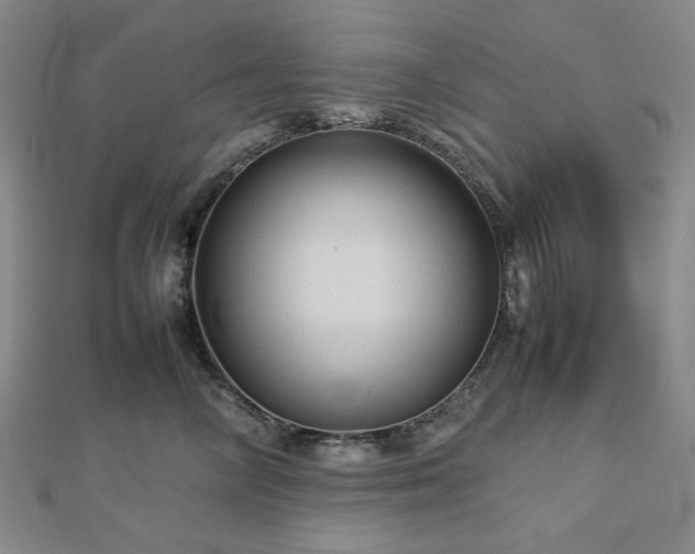 X0000112770714200908201507