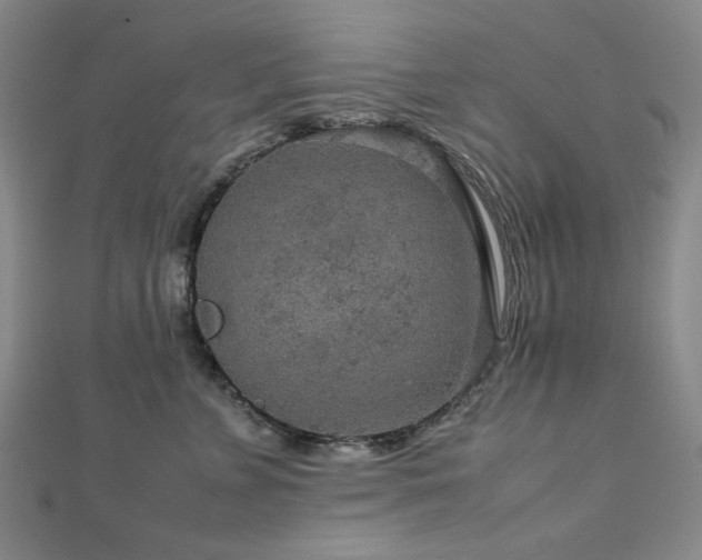 X0000112770715200908201507