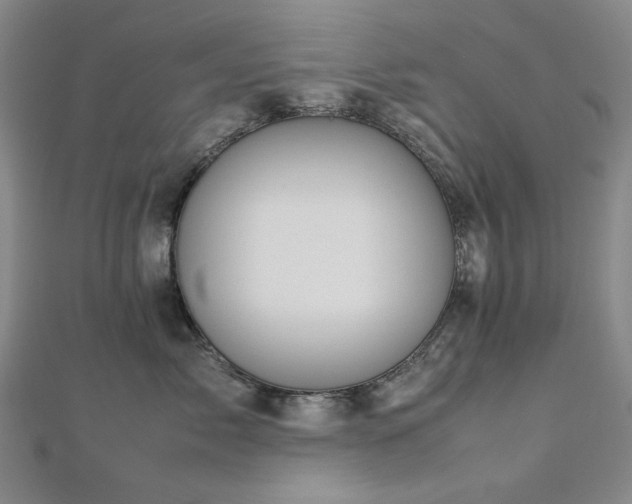 X0000112770717200908201507