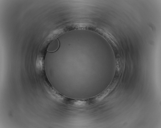 X0000112770718200908201507