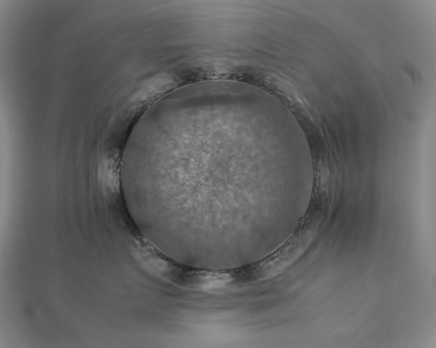 X0000112770719200908201507