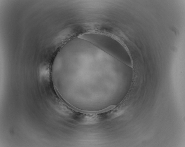 X0000112770720200908201507