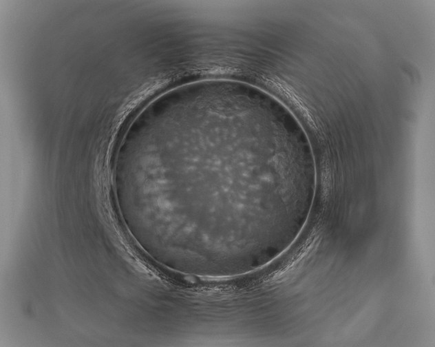 X0000112770721200908201507