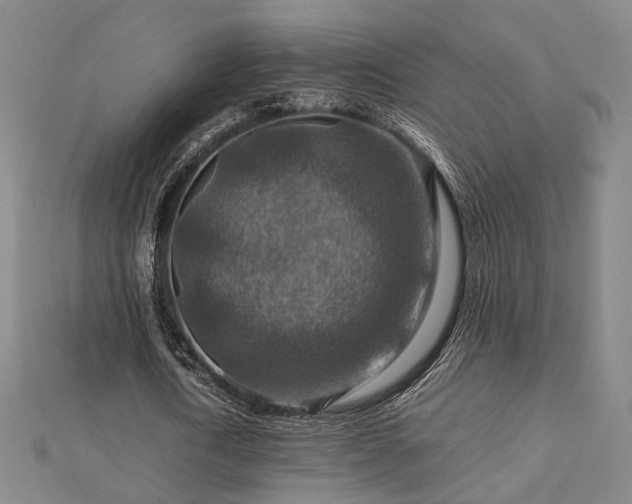 X0000112770722200908201507