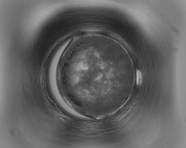 X0000112770723200908201507