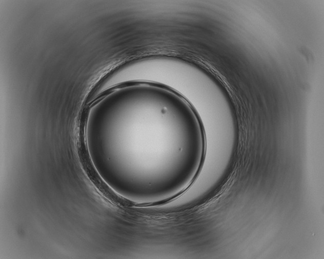 X0000112770725200908201507