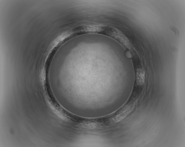 X0000112770726200908201507