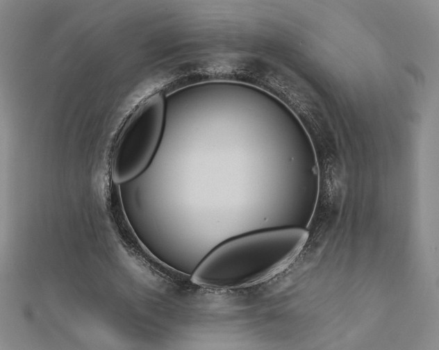 X0000112770728200908201507