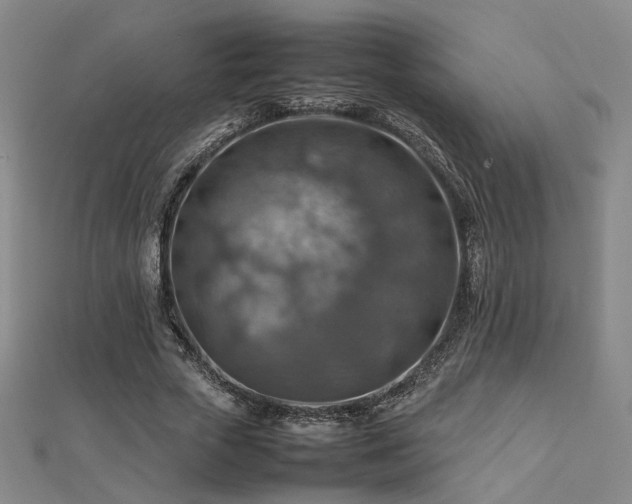 X0000112770729200908201507
