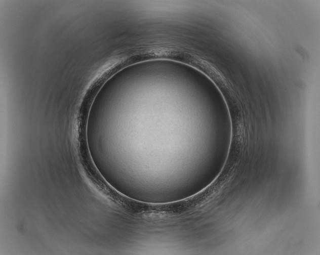X0000112770730200908201507