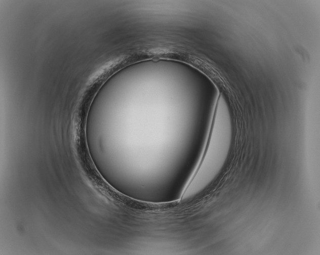 X0000112770732200908201507